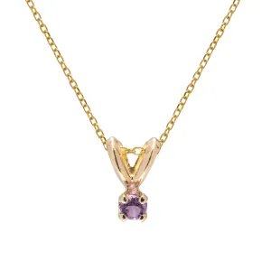 Birthstone Pendant - February Amethyst