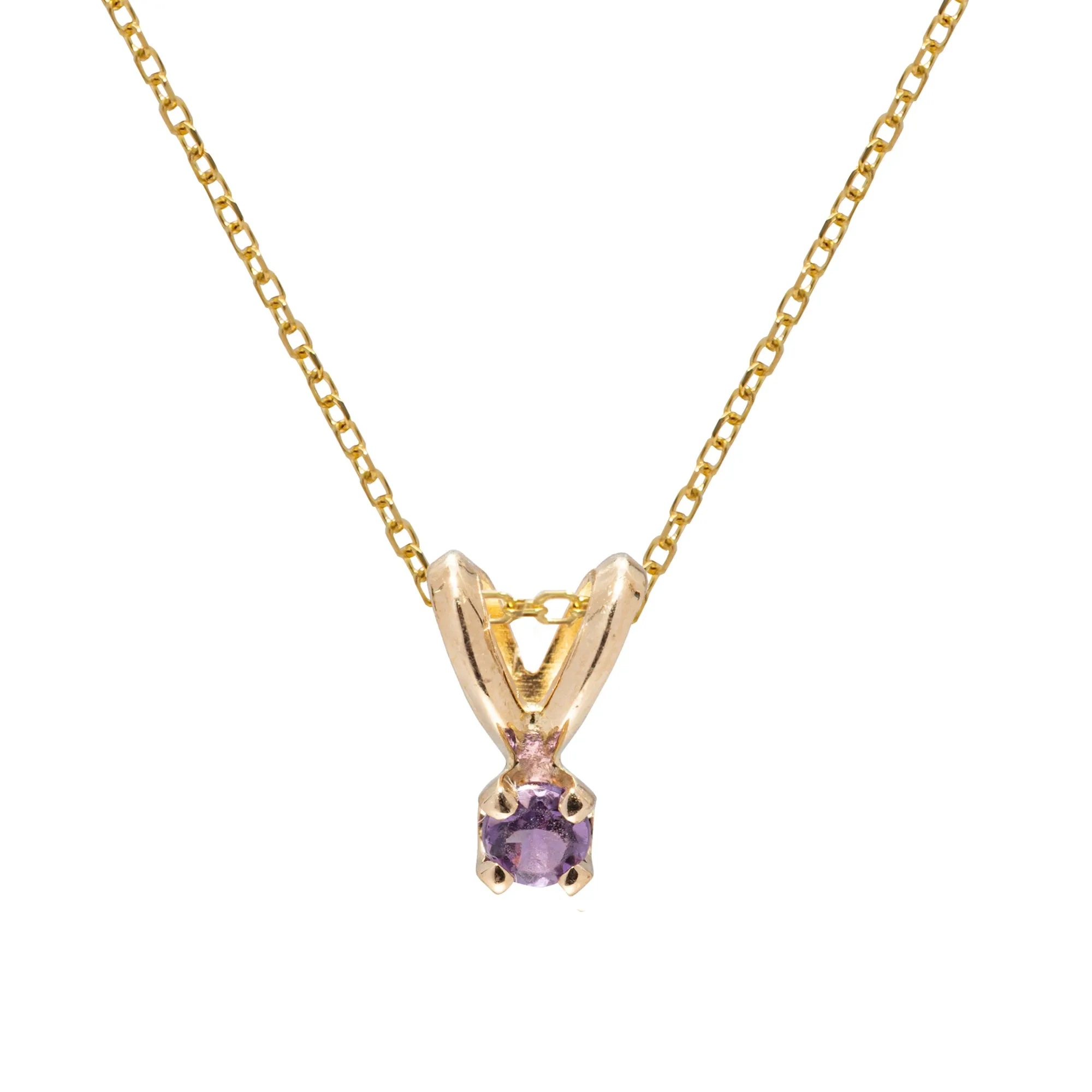 Birthstone Pendant - February Amethyst